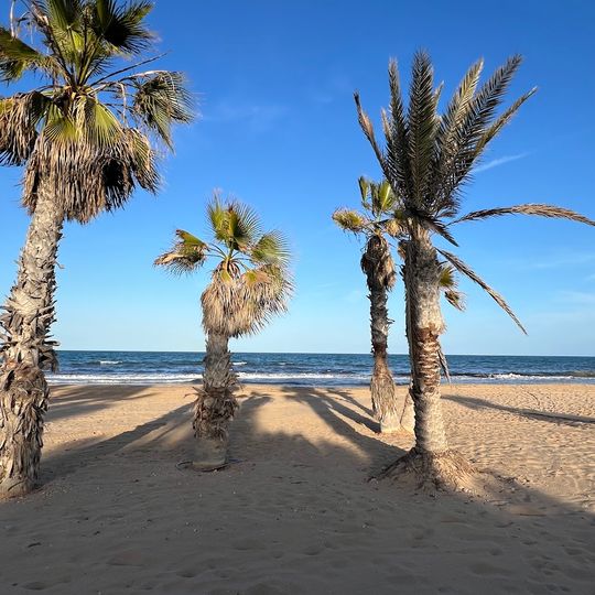 Playa del Saladar