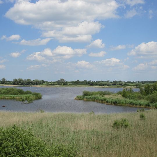 Wald- und Kleingewässerlandschaft Dambecker Seen und Buchholz