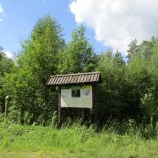 Vidusburtnieks