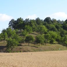 Wingertsberg bei Oppershofen