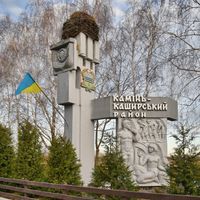 Rejon koszyrski (do 2020)