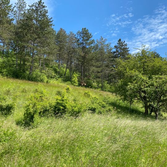 Unstruttal zwischen Nägelstedt und Großvargula