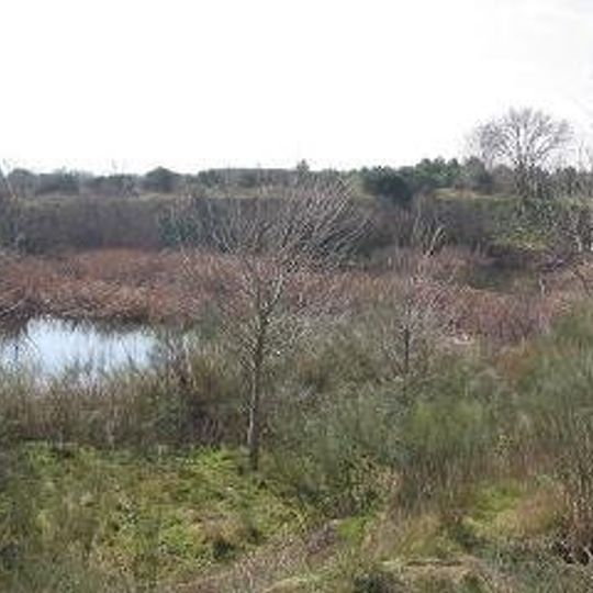 Centro de educación ambiental Bosque Sur