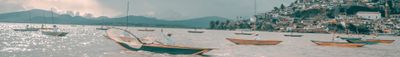 Panoramic View 1