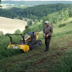 Halbtrockenrasen am Dahlberg