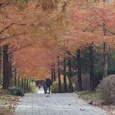 Sinbanpo-gongwon