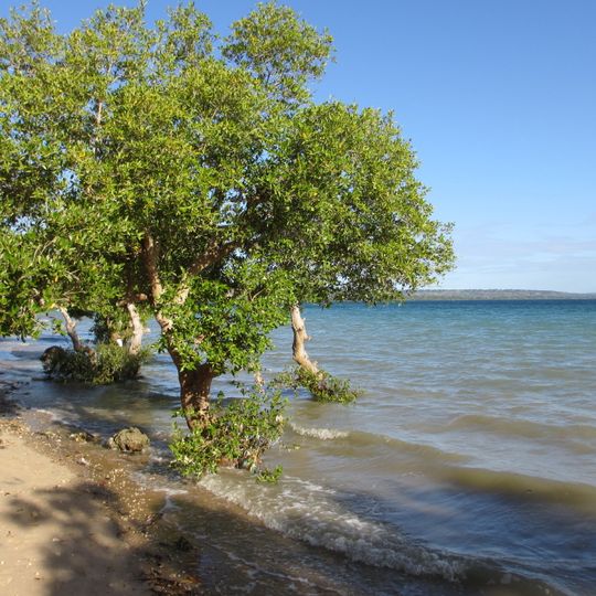 Nationalpark Quirimbas