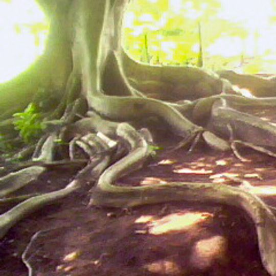 Parque Histórico Castro Alves