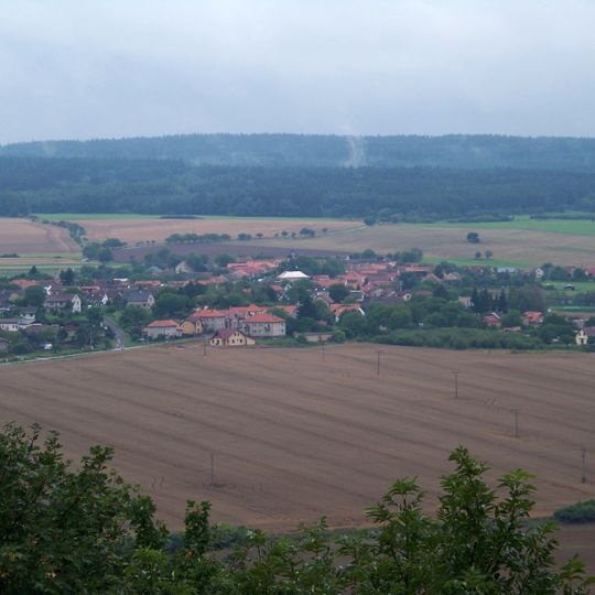 Bzová