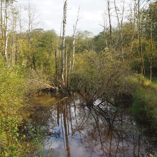 Marais dits du Landbrough