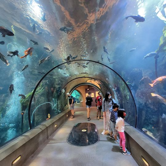 Oregon Coast Aquarium