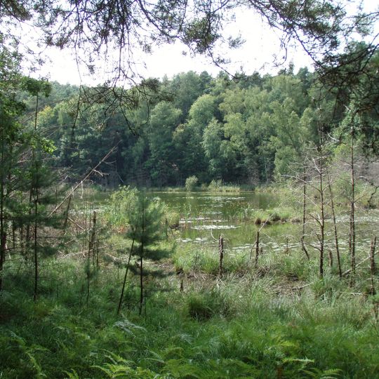 Teufelssee und Urwald Fünfeichen