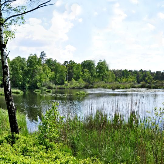 Feuchtgebiete um Altshausen