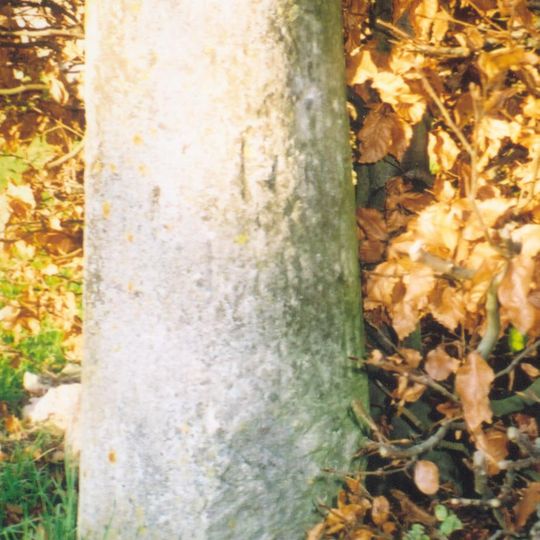 Milestone, Church Road; end of drive to Church Road House