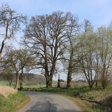 2 kusy lípy srdčité