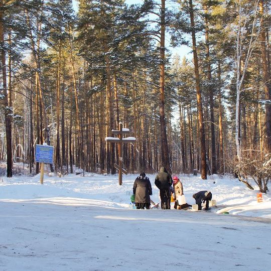 Rodniki gory Vesyoloy