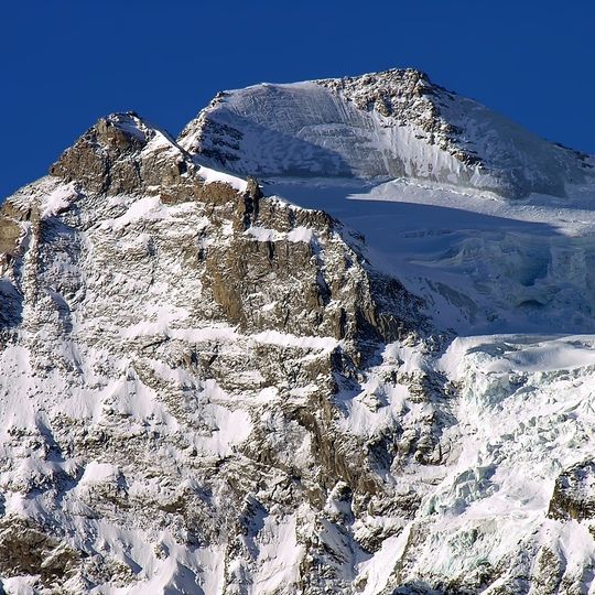 Testa della Tribolazione