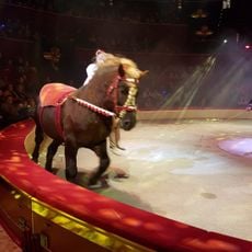 Cirque d'Hiver Bouglione