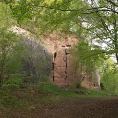 Haselstein mit Steppenheide und Steppenheidegebüsch
