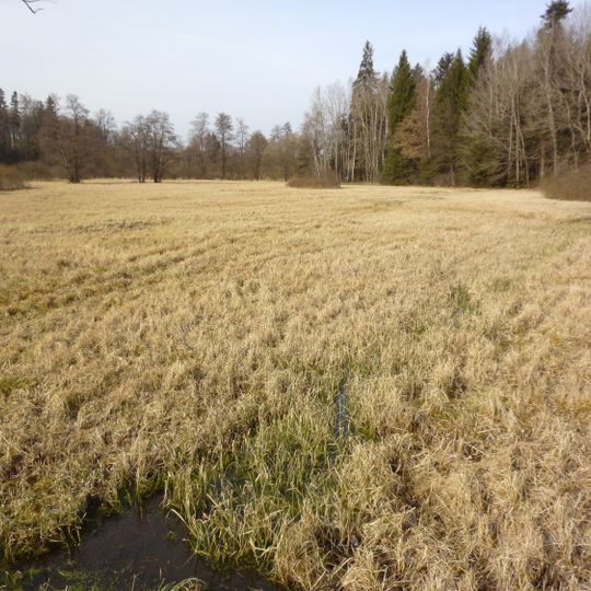 Louky u Černého lesa