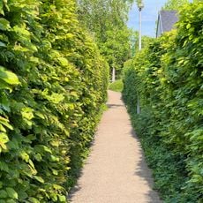 Passage Françoise Dolto