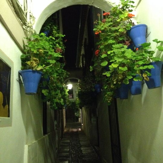 Vicolo dei Fiori