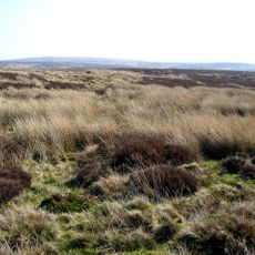 Hafod Elwy Moor National Nature Reserve