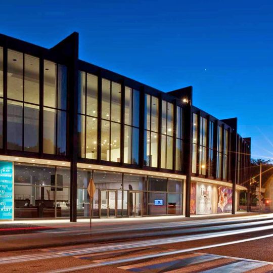 The Museum of Fine Arts, Houston