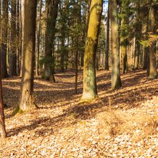 Třebovětický rondel