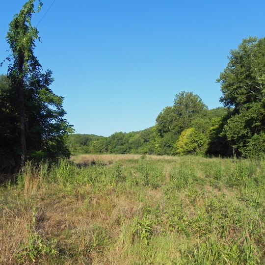 Forest 44 Conservation Area