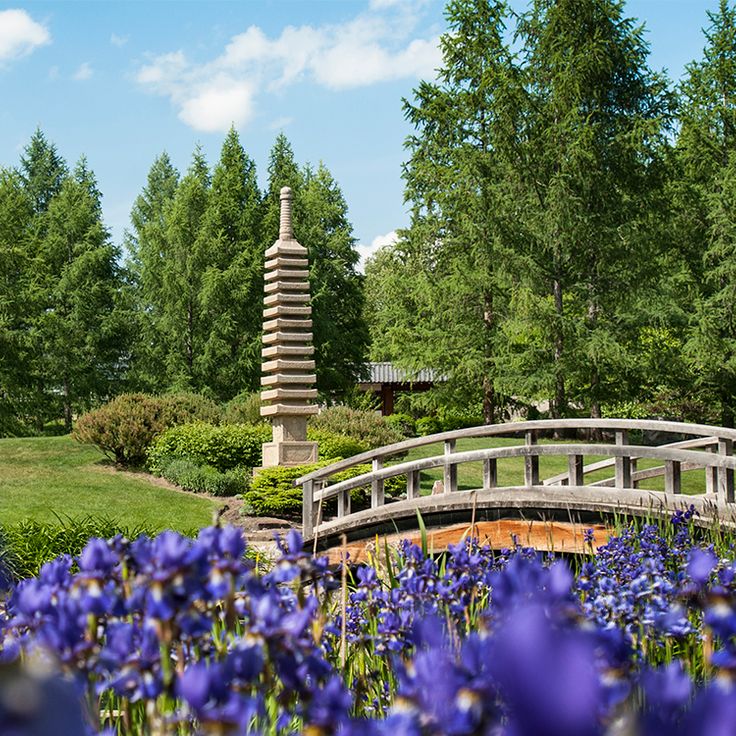 Orto Botanico dell’Università dell’Alberta