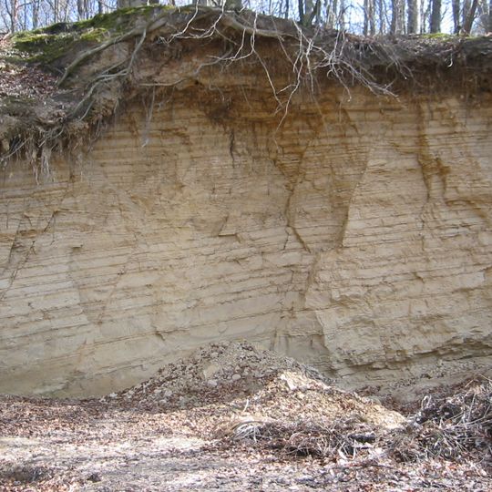 Naturdenkmal geologischer Aufschluss ehemalige Tongrube, nördlich des Ortsteiles Macherslust in Eberswalde