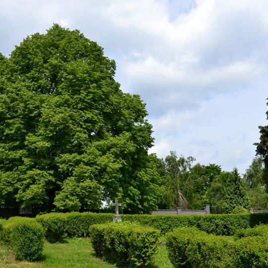 Lípa v Místě na hřbitově