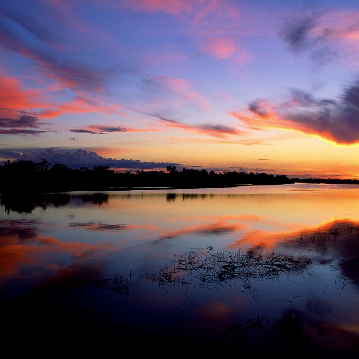 Parque Nacional Jaú