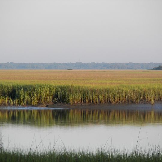 Parc d'État Hunting Island