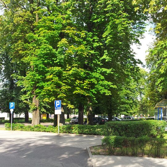 Cmentarz żydowski w Strzelcach Opolskich