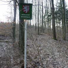 Ve slatinské stráni