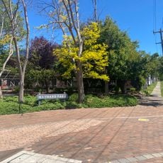 Maynard Park