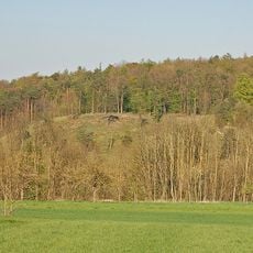 Hammelrain/Oberer Wannenberg