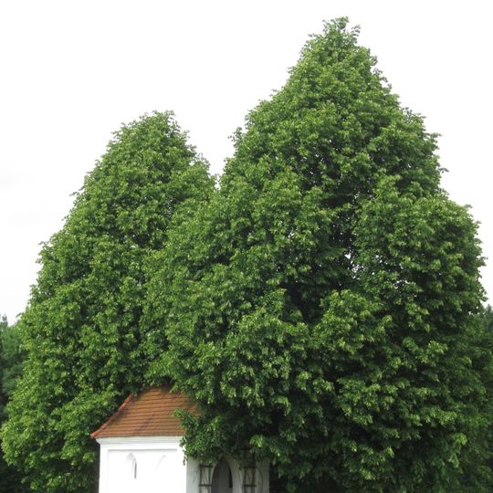 Flurkapelle, sog. Bergkapelle