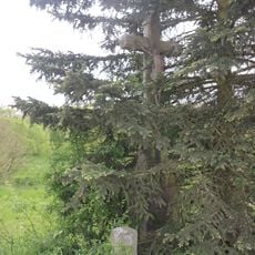 Kříž východně od Dančovic v místě zvaném Šimkův mlýn z roku 1900