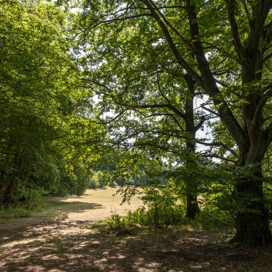 Waldgebiet östlich von Langenaubach