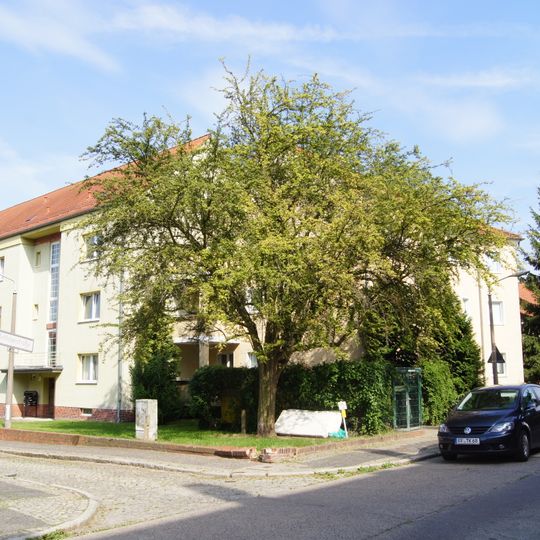 Rotdorn Kaethe-Kollwitz-Strasse Methnerstrasse Frankfurt Oder