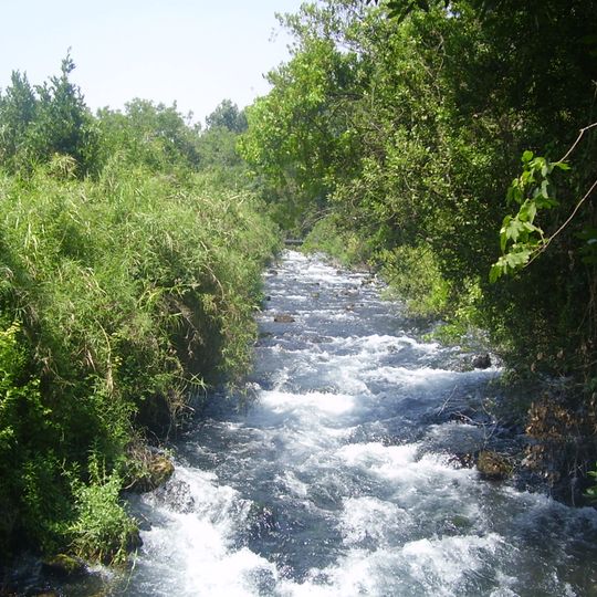 Tel Dan Nature Reserve