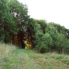 Grabhügel beim Luckenjörgl