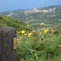 Urzelina (São Mateus)