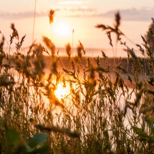 Parc national de Mezyn