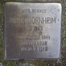 Alex Bornheim