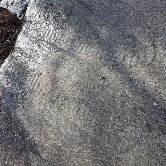 Vinnes - Fetts fk. 7, Varmeholo