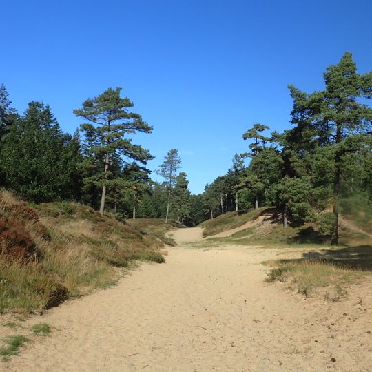 Heide- und Magerrasenlandschaft am Ochsenweg und im Soholmfeld